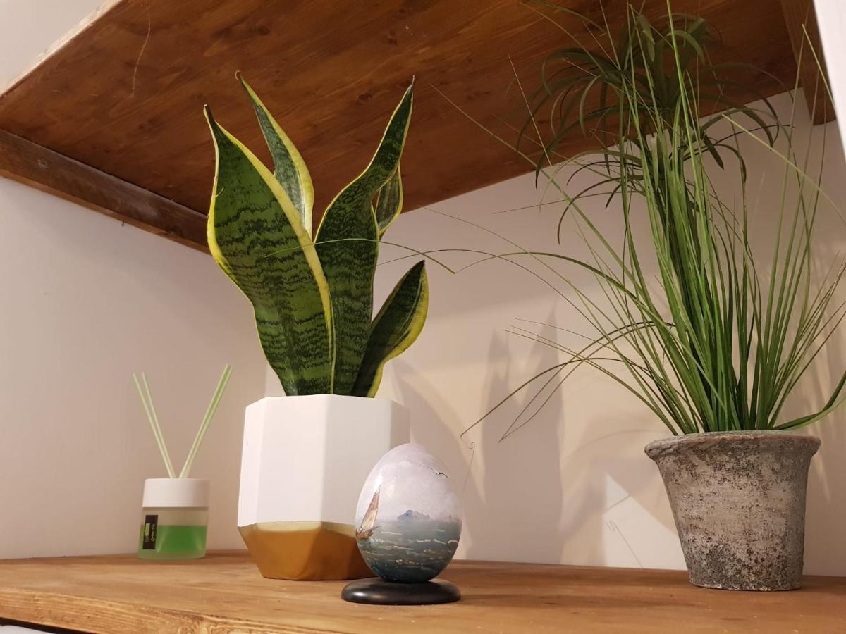 Vesuvio Appartement Napels