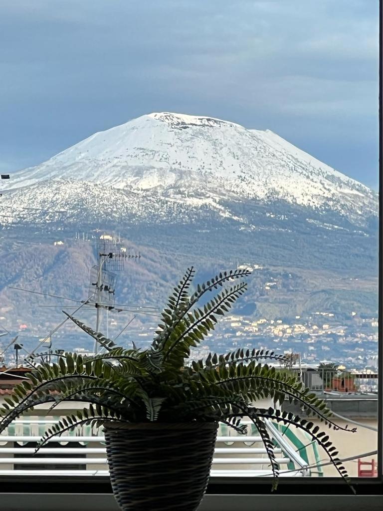 Vesuvio Appartement *